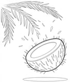 Simple coconut falling from a palm tree coloring page for kids