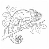 Simple chameleon climbing a tree branch coloring page for kids