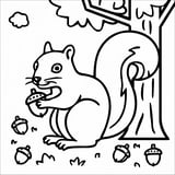 A cute squirrel holding an acorn near a tree, perfect for coloring.